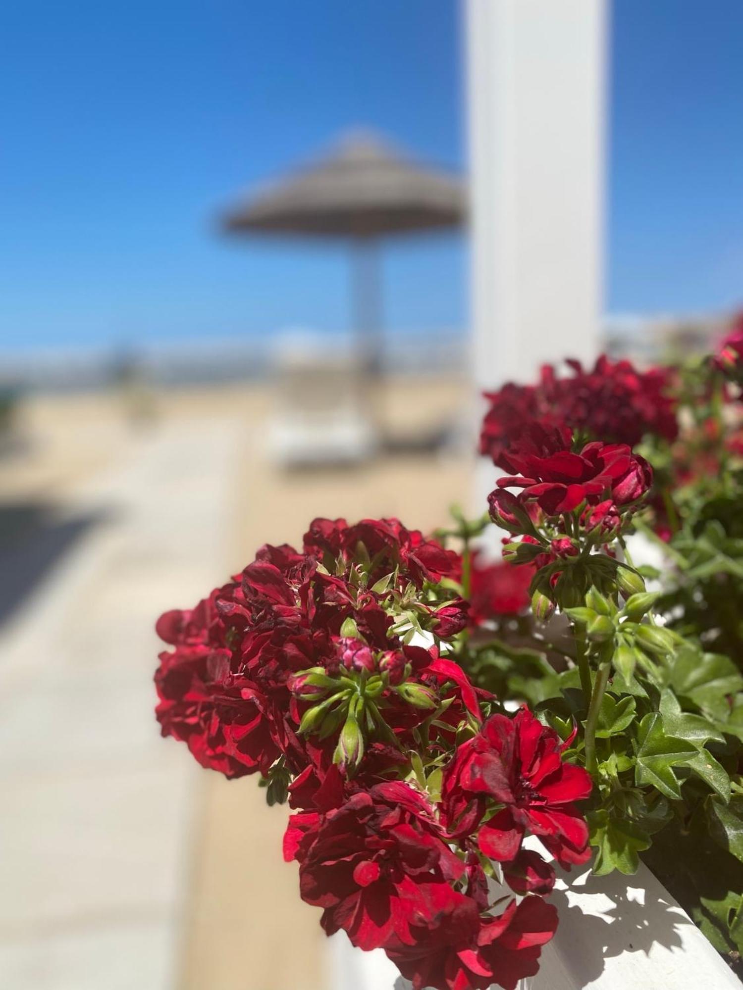 Marina Bay Beach Hotel Peschici Kültér fotó